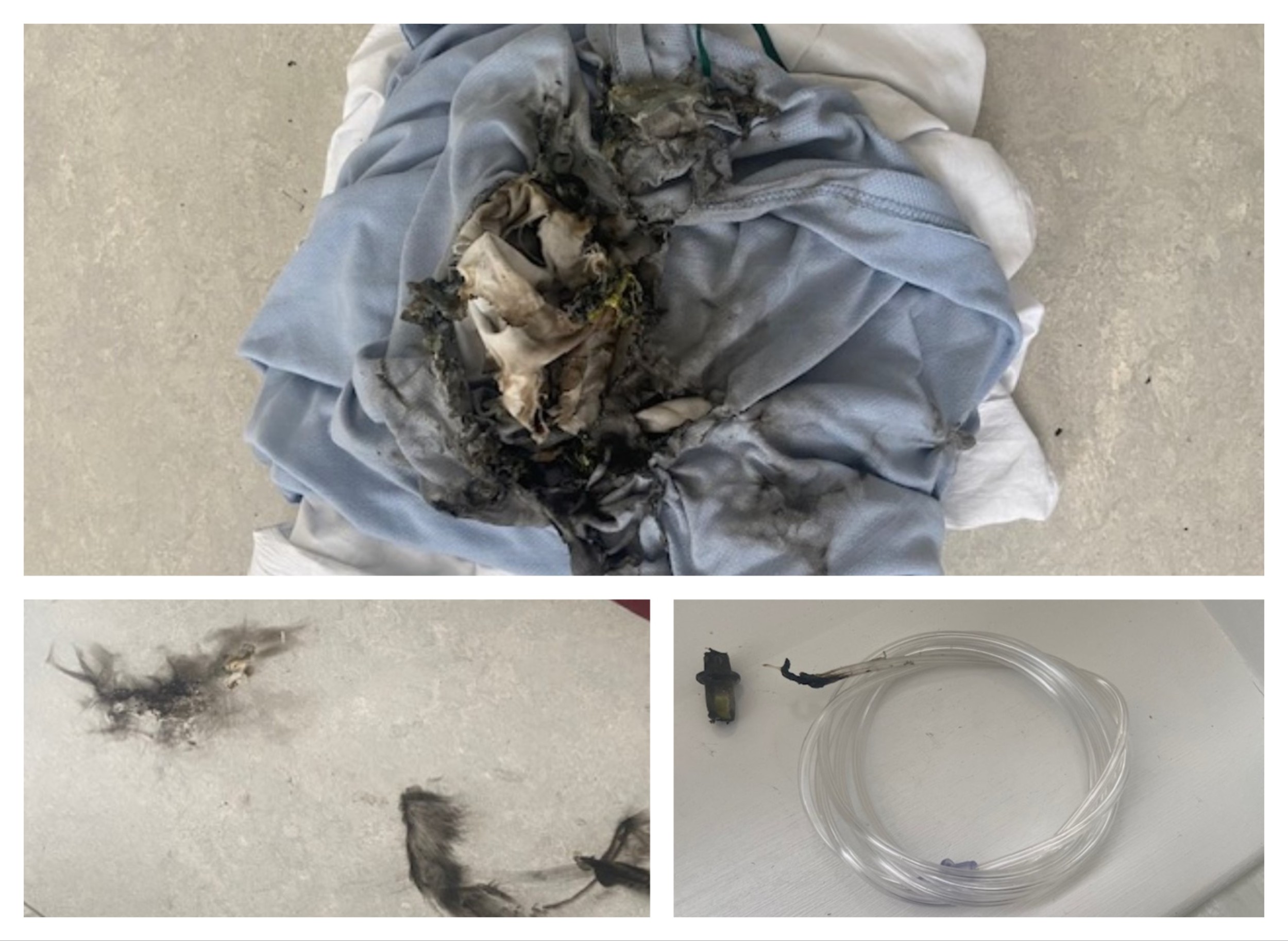 Aftermath of fire rectangle.jpg